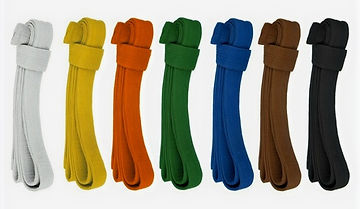 belt_colours_meaning_edited.jpg
