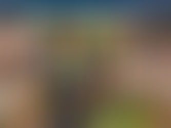 Sydney Gutter Cleaning