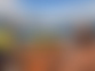 How Timely Roof Repairs Save You Money