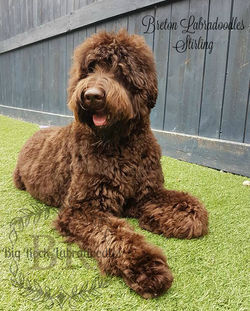 Stirling 10 months side b watermarked