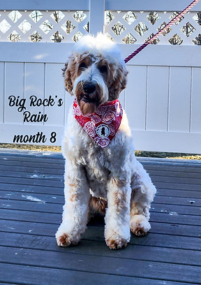 Rain 8 months 1.jpg