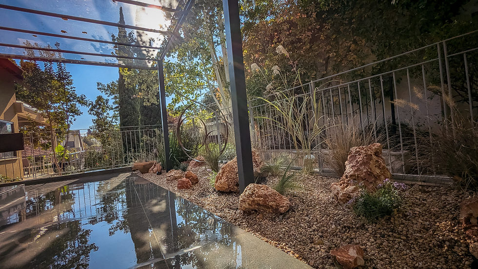 גינה עשבונית