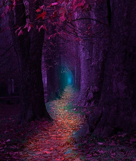 le chemin
