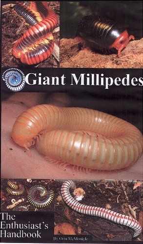 Giant Millipedes