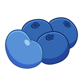 JBL_Blueberry.png