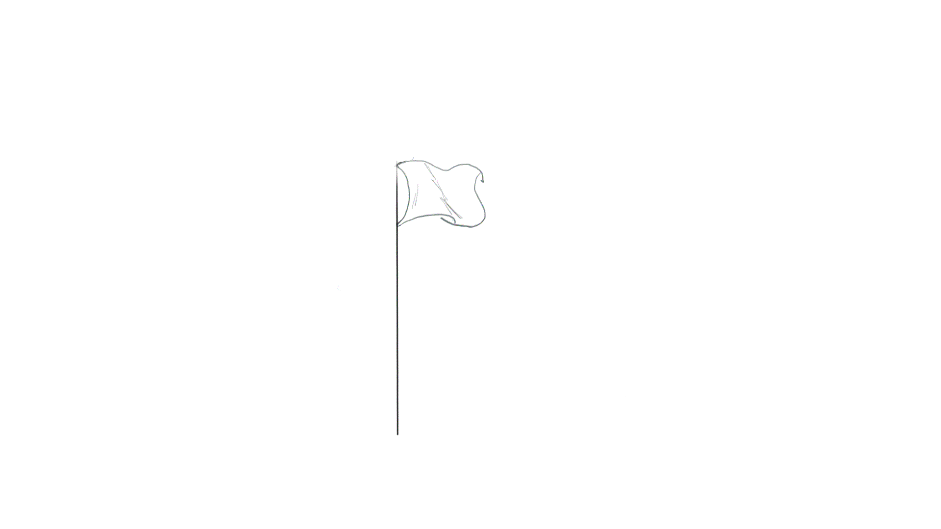 Flag Animatio Cycle Sketchbook Pro