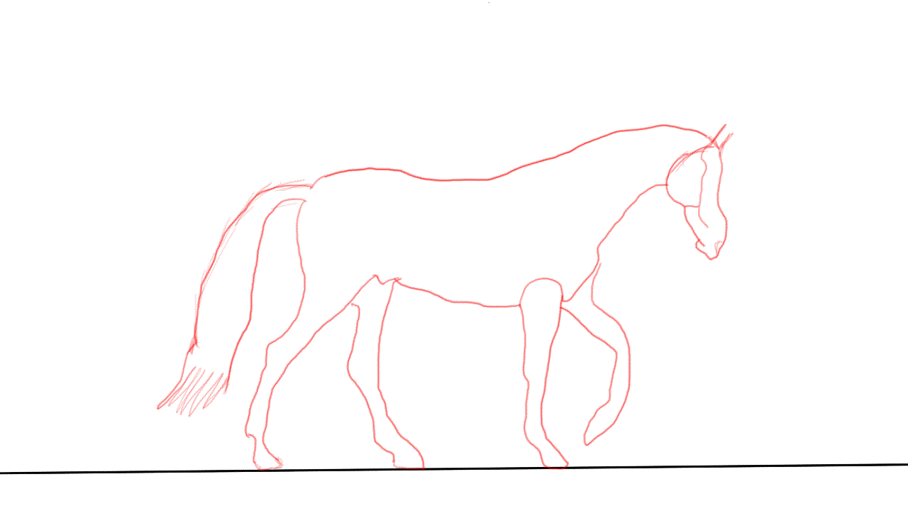 Horse 4 Leg Animation