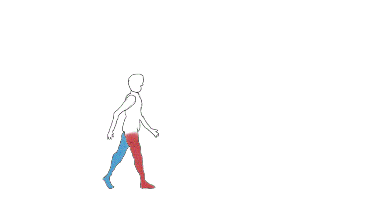 Man Walk Cycle
