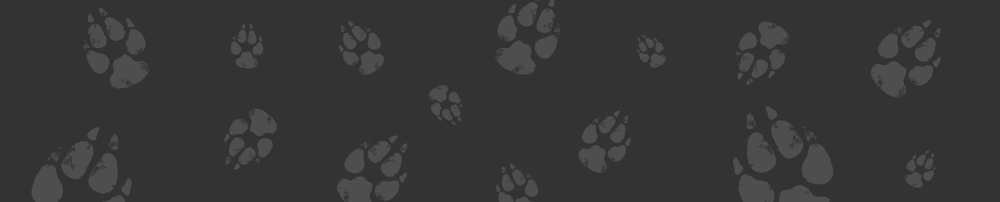 psie_lapki_bg.webp