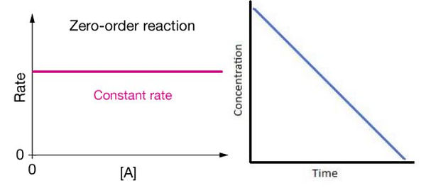 chart1.JPG