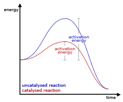 p1.jpg
