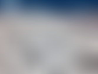 Customs Updates: January 29, 2021 Annual User Fee Federal Register Notice Due