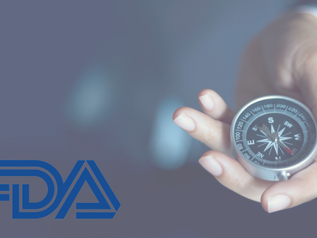 New Strategic Plan Outlines CTP’s Direction for the Next Five Years