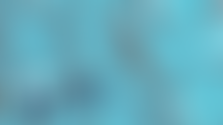 CBP and FDA Partnership for the Global Business Identifier (GBI) Test