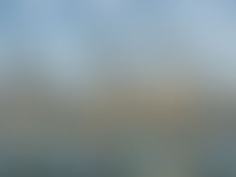 Save Money Through Accurate US Customs Valuation