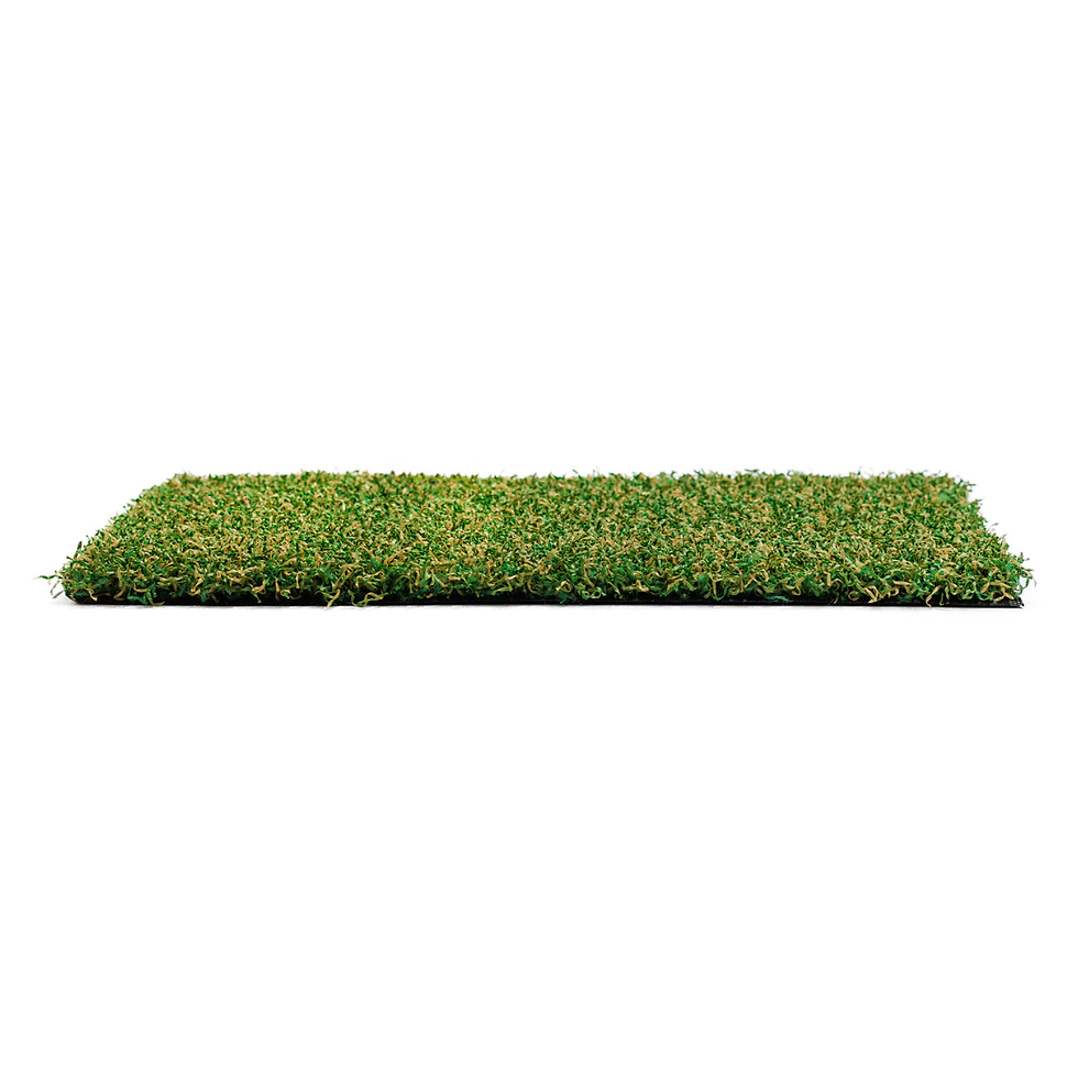 Thumbnail: Urban Aspen