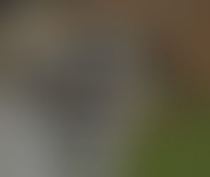 Our Top 5 Campaigns from April Fools