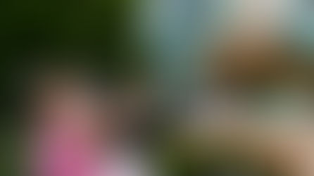 Become an Exhibitor at the Disability Sport & Recreation Festival 