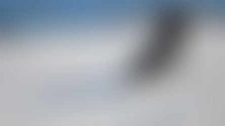 DSR Winter Kids Camp