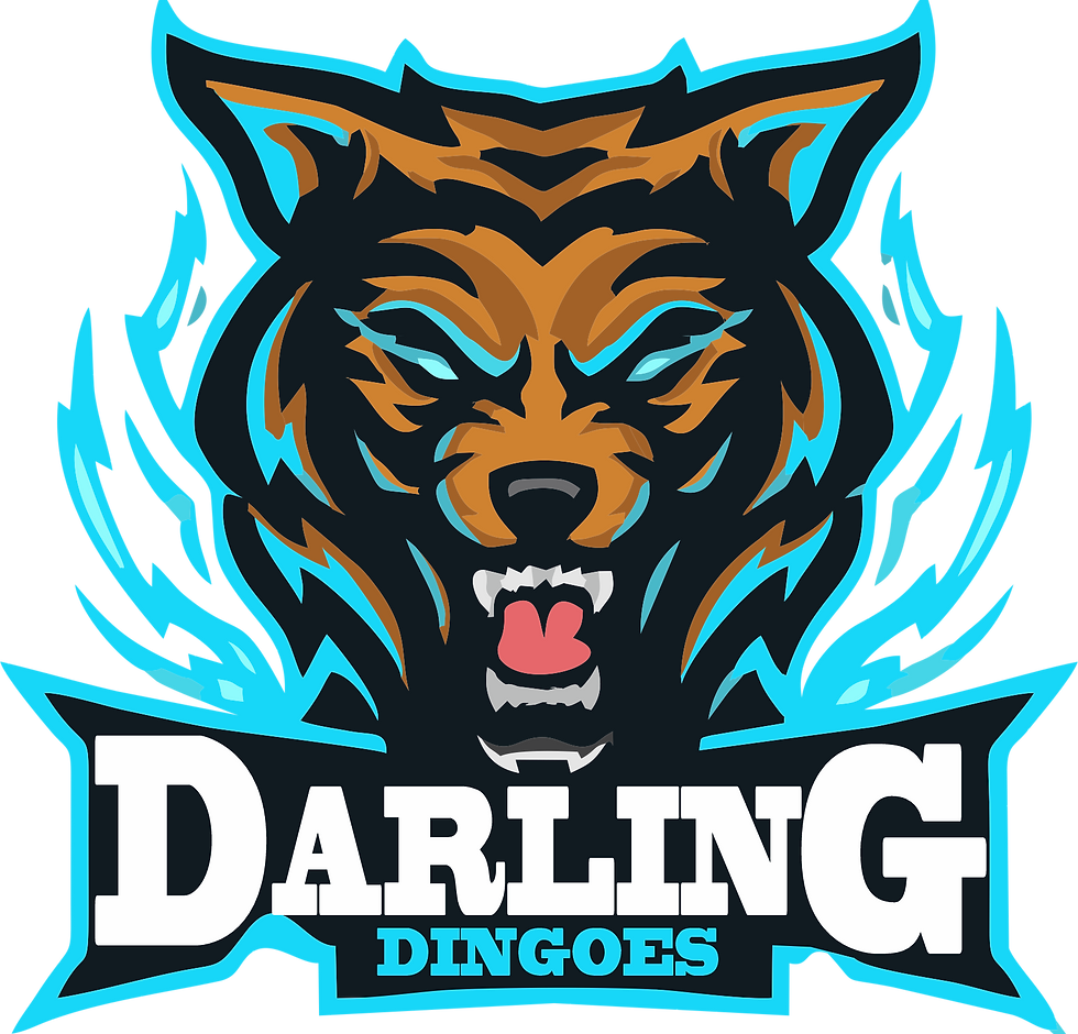 Darling Dingoes.png
