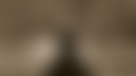 Putting The Purr in Purpose