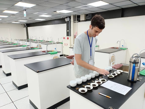 Certificación internacional en Té de Taiwán por Yang Tea y TBRS