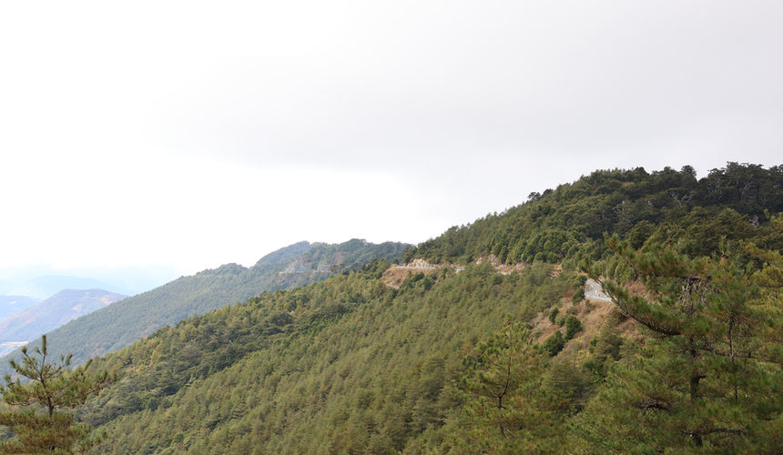 Hehuanshan landscapes