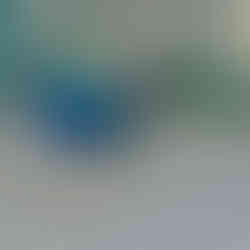 L.A.Arboretum resident peacock ©Donnett Vanek 2026