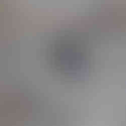 Western Bluebird - Donnett Vanek©