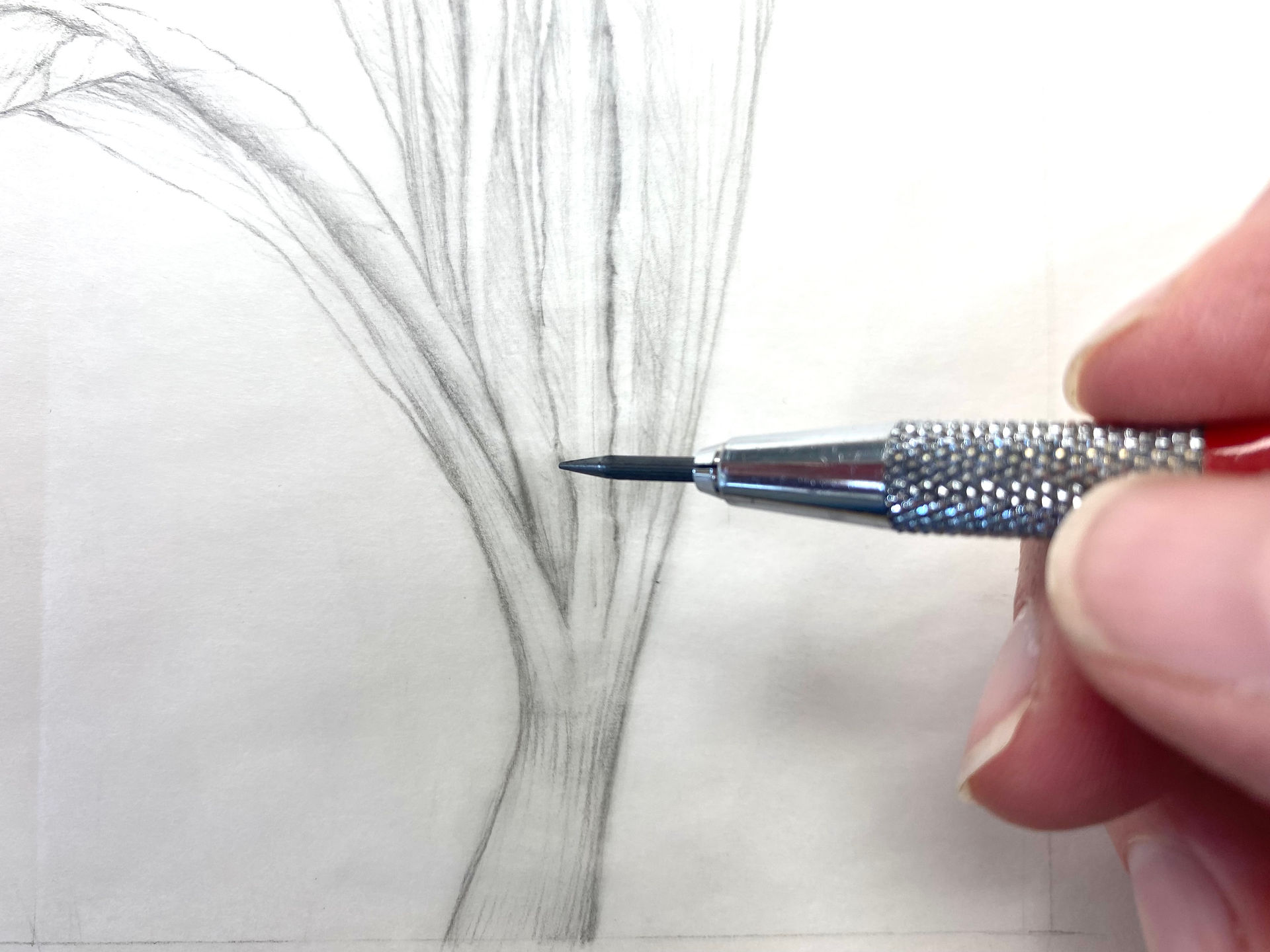 Step one - Sketch!  Donnett Vanek ©