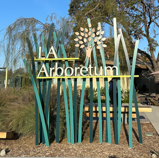 Los Angeles Arboretum   ©Gayle Uyehara photography