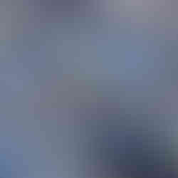 Dried leaves of the Iris missourinesis. Donnett Vanek ©