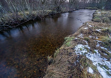 Kaldolelva