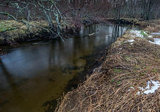 Kaldolelva