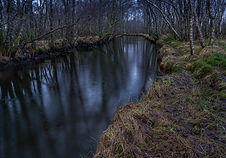 Kaldolelva