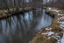 Kaldolelva