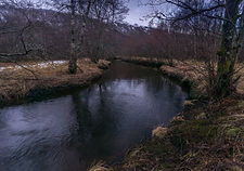 Kaldolelva