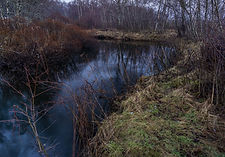 Kaldolelva