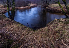 Kaldolelva