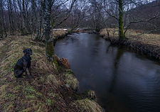 Kaldolelva