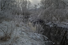 Kadholeva