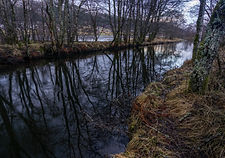 Kaldolelva