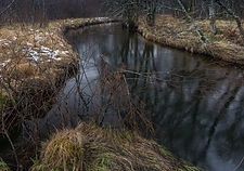 Kaldolelva