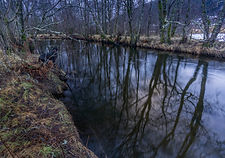 Kaldolelva