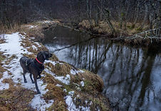 Kaldolelva