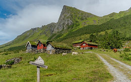 Steinstøylen, Hallehornet