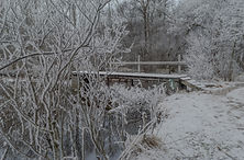 Kadholeva