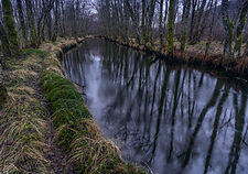 Kaldolelva