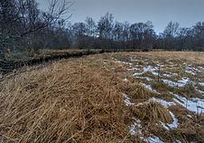 Kaldolelva
