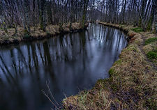 Kaldolelva